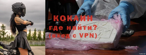 гашик Дмитровск