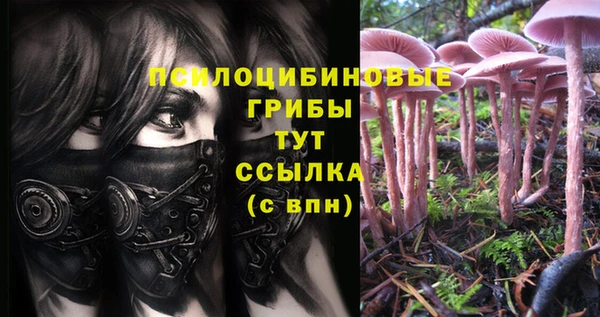 jwh Дмитриев