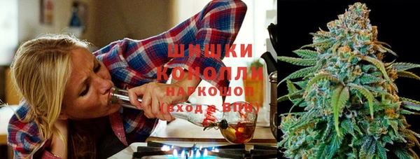 гашик Дмитровск