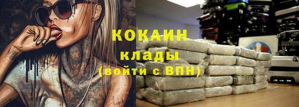 гашик Дмитровск